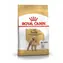 Royal Canin Poodle Adult 1,5 kg / Granulat für Hunde