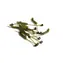 RidgeMonkey Straightener Connexion D-Rig Kickers Medium Weed Green 10 Stk
