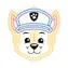 Paw Patrol Dekoratives LED-Neon - Chase / Wandmontage / USB-Stromversorgung 1,5 m / 20-30 lm