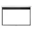 Optoma DS-1123PMG+ / Leinwand / 123" / 16:10 / 2656 x 1660 mm