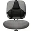 Fellowes Profesional Rückenlehne schwarz