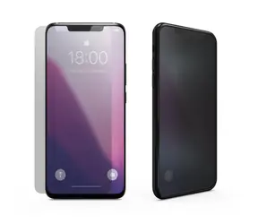 Forever Privacy Panzerglas für Samsung Galaxy S25 FE / Panzerglas