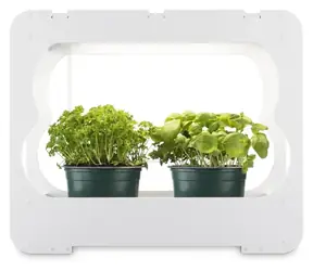 Xavax Growstation / Growstation / Vollspektrum-LED-Lampe / 3 × 10 cm / 16-h/8-h-Zyklus
