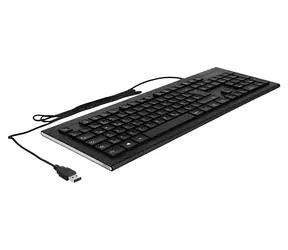 DeLock Water-Drop schwarz / Tastatur / Kabelgebundenes USB / QWERTZ-Tastatur / Nummernblock
