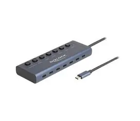 DeLock / Hub / 6x USB-C / 1x USB-C Stromanschluss / Desktop