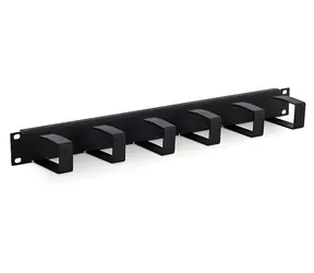Triton RAC-VP-X21-A1 / 19"-Rackpanel 1 HE / 6x Haken / 70x40 mm / grau