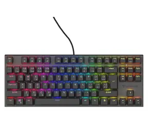 Genesis Thor 303 TKL RGB Outemu Peach Silent Schwarz / Gaming-Tastatur / Mechanisch / CZ/SK-Layout / USB