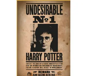 Daumen UP! Puzzle Harry Potter - Gesucht Nr. 1 / 50 Teile / für Erwachsene und Kinder