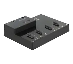 DeLock M.2 Dockingstation 4X NVMe / Dockingstation / USB-C 10 Gbit/s / 2x2 Klonen / LED