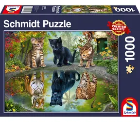 Schmidt Puzzle Dream Big / 1000 Teile
