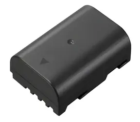 Panasonic DMW-BLF19E / Kameraakku