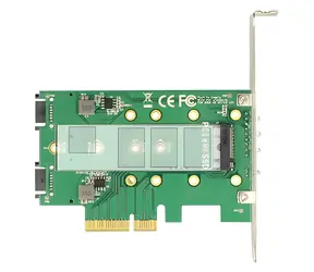 DeLock PCIe-Karte 3x M.2 / M.2-Controller / PCIe x4 / SATA + PCIe / Low-Profile