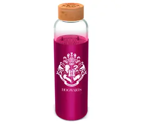 STOR Harry Potter Trinkflasche / Glas / 585 ml