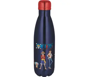 STOR Einteilige Trinkflasche 780 ml / Edelstahl / Schraubverschluss