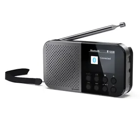 Sharp DR-P520 OSAKA grau / Tragbares Radio / Digitaltuner / Bluetooth 5.3 / 2"-Display / USB-C