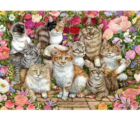 FALCON Puzzle Katzen zwischen Blumen / 1000 Teile / ab 12 Jahren