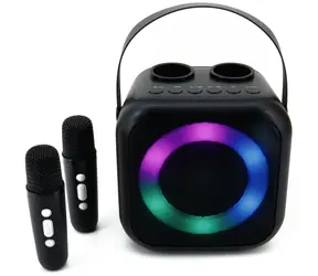 Soundmaster BT2024SW / Karaoke-Lautsprecher / 5 W / Bluetooth / Discolicht / USB-C / 2x drahtloses Mikrofon