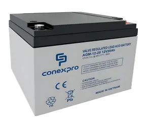 Conexpro AGM-12-28 / Batterie / AGM VRLA / 12V/28Ah / T12