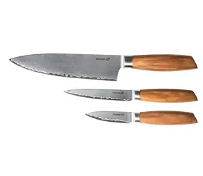 G21 Gourmet Damastmesserset aus Zebranoholz / Messerset / 3-teilig / Damastklinge / Griff aus Zebranoholz