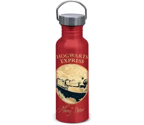 STOR Harry Potter Trinkflasche - Golden Magie / 815 ml / Aluminium / Schraubverschluss mit Öse