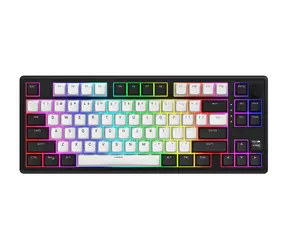 Hator Skyfall 80 weiß-schwarz / Magnetische Gaming-Tastatur / Aurum Ice Magnetische lineare / kabellose / TFT-Display