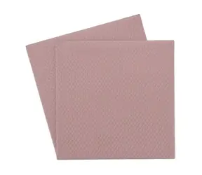Thermal Grizzly Minus Pad 8 pink 100 x 100 x 0,5 mm / Wärmeleitpad / Silikon / 2 Stück