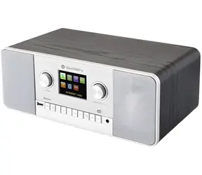 Gogen IR257BTDAB / DAB+ Radio / Bluetooth
