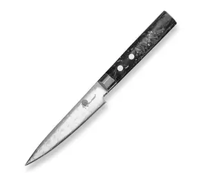 Dellinger Petty Carbon Fragment / Schneidemesser