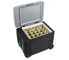 G21 C&W 45 / Autokühlschrank / 45 l / 12 V/230 V