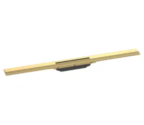 Hansgrohe RainDrain Flex, polierte Goldoptik