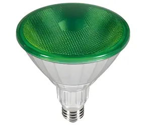 SEGULA PAR38 grün / LED-Reflektor / E27 / 18W / IP65