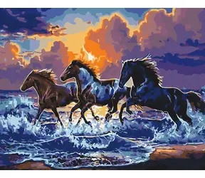 Norimpex Diamantmalerei Wildpferde am Strand / 30x40 cm