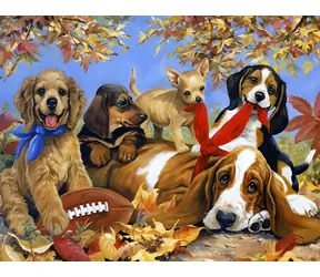 Norimpex Diamantmalerei: Hunde spielen mit einem Ball / 80 x 40 cm