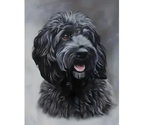 Norimpex Diamantmalerei Schwarzer Cockapoo / 30x40 cm