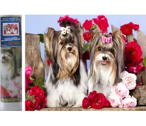 Norimpex Diamantmalerei Hunde in Rosen / 30x40 cm