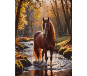 Norimpex Diamantmalerei Pferd im Waldbach / 30x40 cm