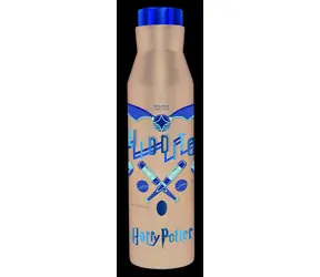 STOR Thermosflasche Harry Potter Diabolo / Thermosflasche / 580 ml / Edelstahl