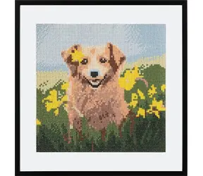 GRAFIX Diamantmalerei Hund in Narzissen / 30x30 cm