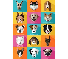 YAZZ Puzzle Hunde / 1000 Teile / 68 × 48 cm