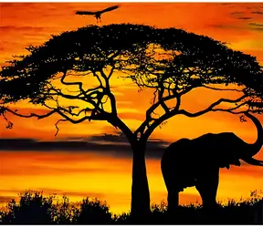 Norimpex Diamantmalerei Elefant im Sonnenuntergang / 30x40 cm