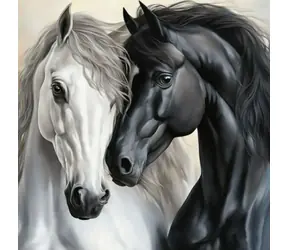 Norimpex Diamantmalerei Schwarz-Weiß Freundschaft / 30x40 cm