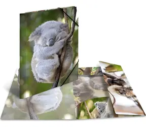 Herma Koala Elastische Mappen / Dokumentenmappen / A4 / Polypropylen / Glänzend / 3 Klappen