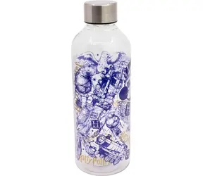 STOR Trinkflasche Harry Potter - Zaubersprüche 850 ml / Trinkflasche / Metallverschluss / BPA- und phthalatfrei