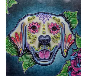Norimpex Diamantmalerei 7D Labrador / 30x30 cm