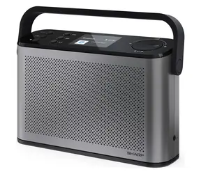 Sharp DR-P540 grau / Tragbares Radio / DAB+/DAB/FM / Bluetooth 5.3 / LCD-Display