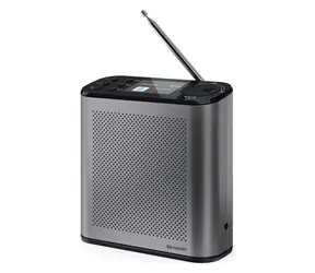 Sharp DR-P530 grau / Tragbares Radio / DAB+/DAB/FM / Bluetooth 5.3 / 15 Stunden Akkulaufzeit