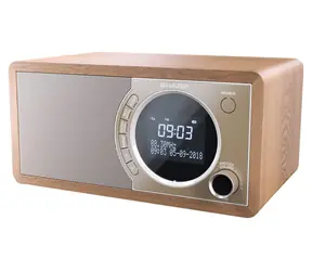 Sharp DR-450 braun / Tragbares Radio / 6 W / DAB+/FM / Bluetooth 4.2 / LCD-Display