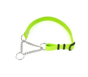 FENICA iQsil Halb-enges Halsband grün / Für Hunde / Nylon / 25 mm / 45-70 cm