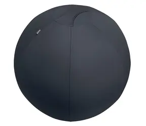 Leitz Ergo grau / Gymnastikball /  75 cm / Belastbarkeit 150 kg