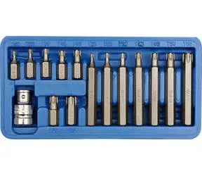 Vorel Bit-Set, 15-teilig, CrV TORX / Bit-Set / T20-T55 / Längen 30 und 75 mm / Kunststoffbox